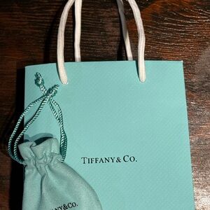 Tiffany & Co. Turquoise Women's Bag